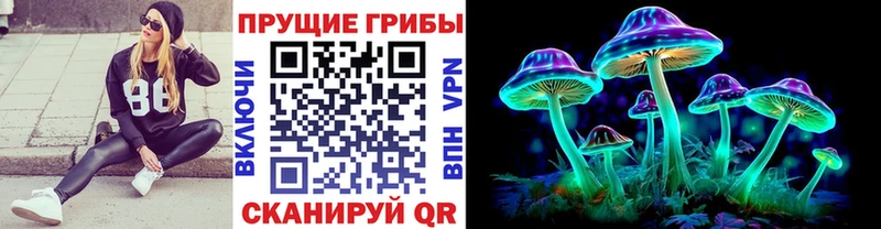 Псилоцибиновые грибы мицелий  как найти наркотики  Котлас 