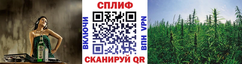 Бошки Шишки LSD WEED Котлас